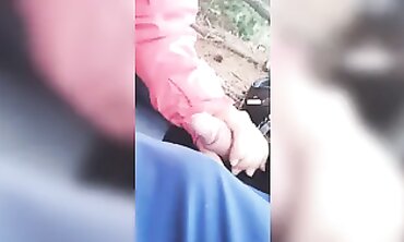 Sexe en Forêt Publique