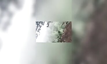 Sexe en Forêt Publique