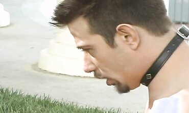 Dolls Ravaging Outdoors In A Group Pummel With Facial Cumshot Jism