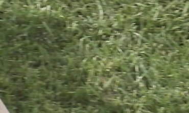 Dolls Ravaging Outdoors In A Group Pummel With Facial Cumshot Jism
