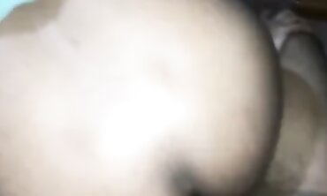 Sri Lankan Muslim Beaver Anal