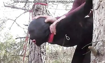 Petite Latina Bound in Stockings for Public Outdoor Fuck