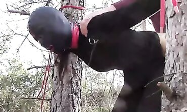 Petite Latina Bound in Stockings for Public Outdoor Fuck