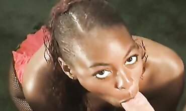 POV Interracial Blowjob With Big Cock
