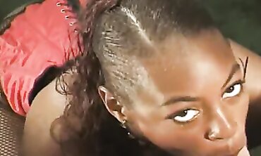 POV Interracial Blowjob With Big Cock