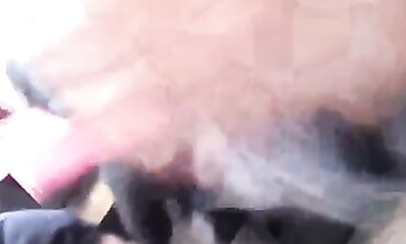 Amateur Brunette Sucks And Takes A Blowjob