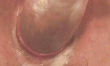 Oral Pleasure, Trimmed Snatch, college-aged+, Ass Fucking, Booty To Jaws, Onanism, One on One, Diminutive Milk Cans