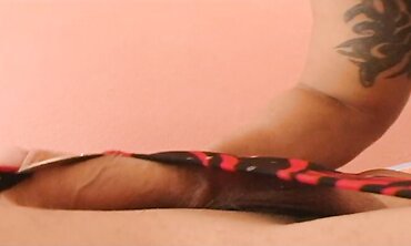 MY WOMEN PRICK - Barbara Vasconcelos