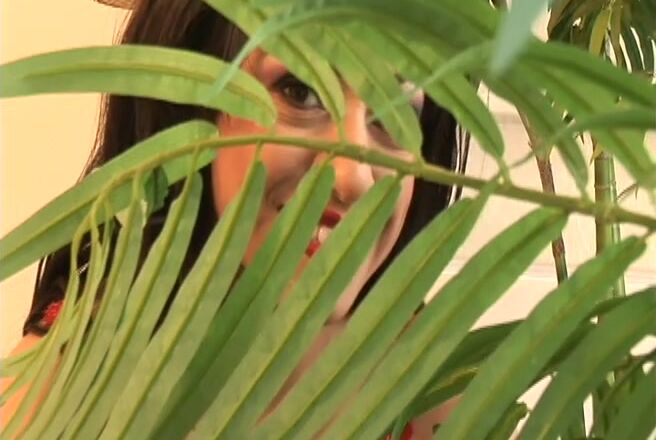 Kinky Brazilian Whore Rachel Milan Takes On Lee Stone