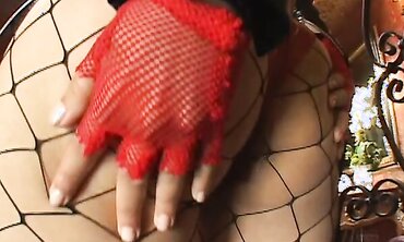 Facial Cumshot Cum Shot, Ass-Fuck, Donk To Jaws, Dominance, Deep Facehole, One on One, Stocking, Culo Slurping, Bi-Racial, Orgy Plaything, Widely Opened