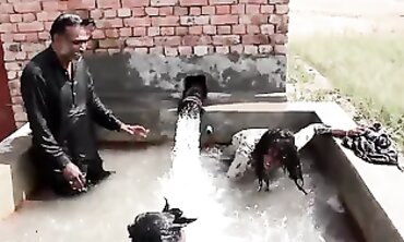 Tubewell Pe Sonia Ki Gandi Harkatein