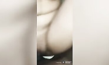 Night Nishi Cow honeypot with facehole හරක් ගැහිල්ල