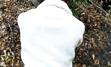 POV Public Park Sex With Blonde Beauty