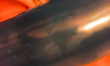 Nicoletta Embassi Plays with Phat Balloons in Solo Masturbation