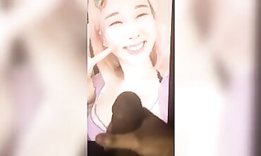Japanese Teddy's Ultimate Geyser Compilation