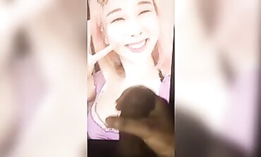 Japanese Teddy's Ultimate Geyser Compilation