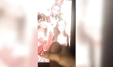 Japanese Teddy's Ultimate Geyser Compilation