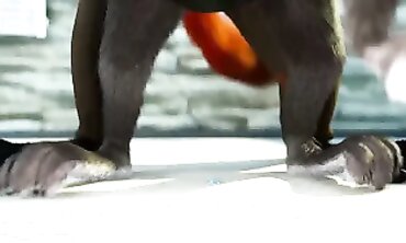 3D Hetero Furry Toon Compilation: Anal, Creampie & Threesomes