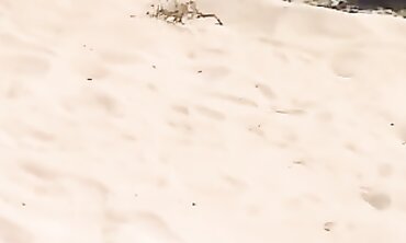 Blonde German Girl Enjoys Vibrator on the Beach