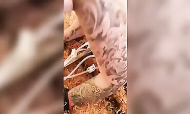 Love Gets Roughly Milked at the Hucow Farm