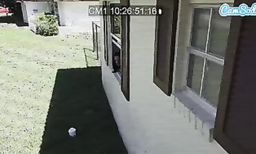 Quarantined Mistress Gets Dicked Down