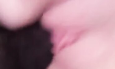 Shaved New Wife Takes a BBC Creampie