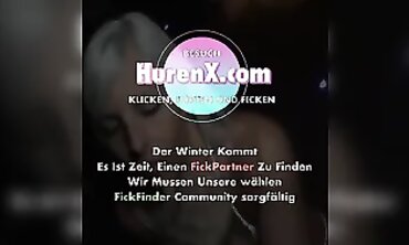 Jungstute Zugeritten