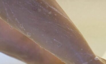 Lean Japanese Ultra-Cutie Gets Her Fur Covered Thicket Slammed With Jizm On Her Soles