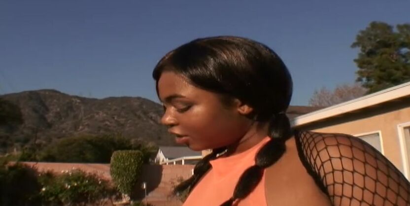 Karmella Kreme Wears Her Ebony Fishnets While Taking Dark-Hued Rod