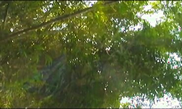 Gisele Prodo And Her Gf Plow Each Other In The Jungle