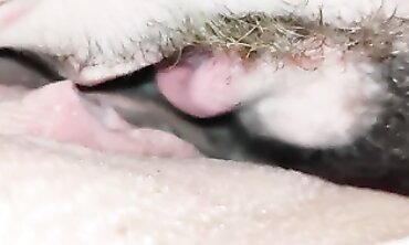 Brunette Milf Gets Tongued Until She Cums