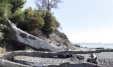 Beach Party Gang Bang With barely legal Amateurs