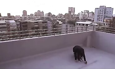 Xia Qingzi & Su Yutang: Hardcore Bondage and Submissive Play