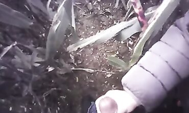 POV Amateur Handjob with a Cumshot