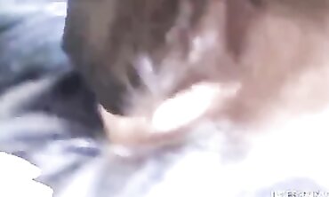 Kyler Quinn Gives a Sucking Blowjob and Handjob