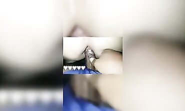 Seladang Kena Jubor: Aksi Doggy Antarabangsa