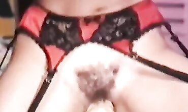 Extreme Perversions One: Rough MILF Action