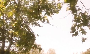 Roxy Jezel Gets Pumped During A Picnic When It Turns Hardcore