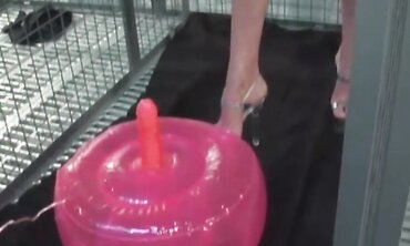 Lezzies, Hump Plaything