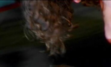 Sue Diamond Gets Pounded At Night