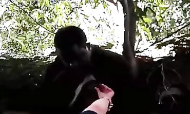 BBC MILF Gets Banged Outdoors During Little League Game
