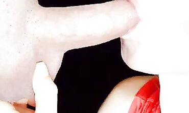 Sensual Amateur Blowjob With Creampie