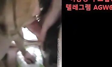 Skinny Korean Slave Gets Creampie