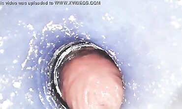 Solo Anal Booty Play