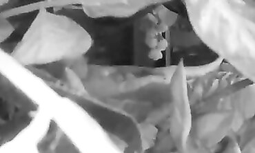 Watch My Fiancé Masturbate