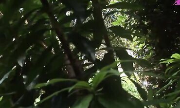 Angel Long Is Making Her Fantasy Of Fucking Two Cocks At Once Come True