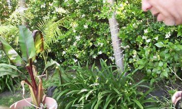 Kristal Summers On Set 2