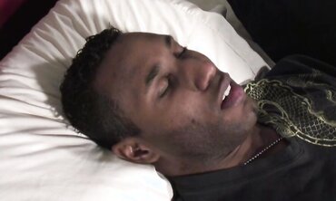 Ebony Spunk-Pump: A Gay Interracial Encounter