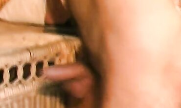 Wolf-Shaped Dildos For Sexual Pleasure - How To Use It And Tips