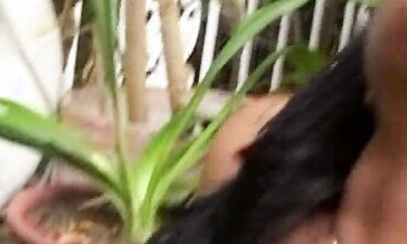 Erotic Encounters - Black Beauties Fucked Hard By White Guys